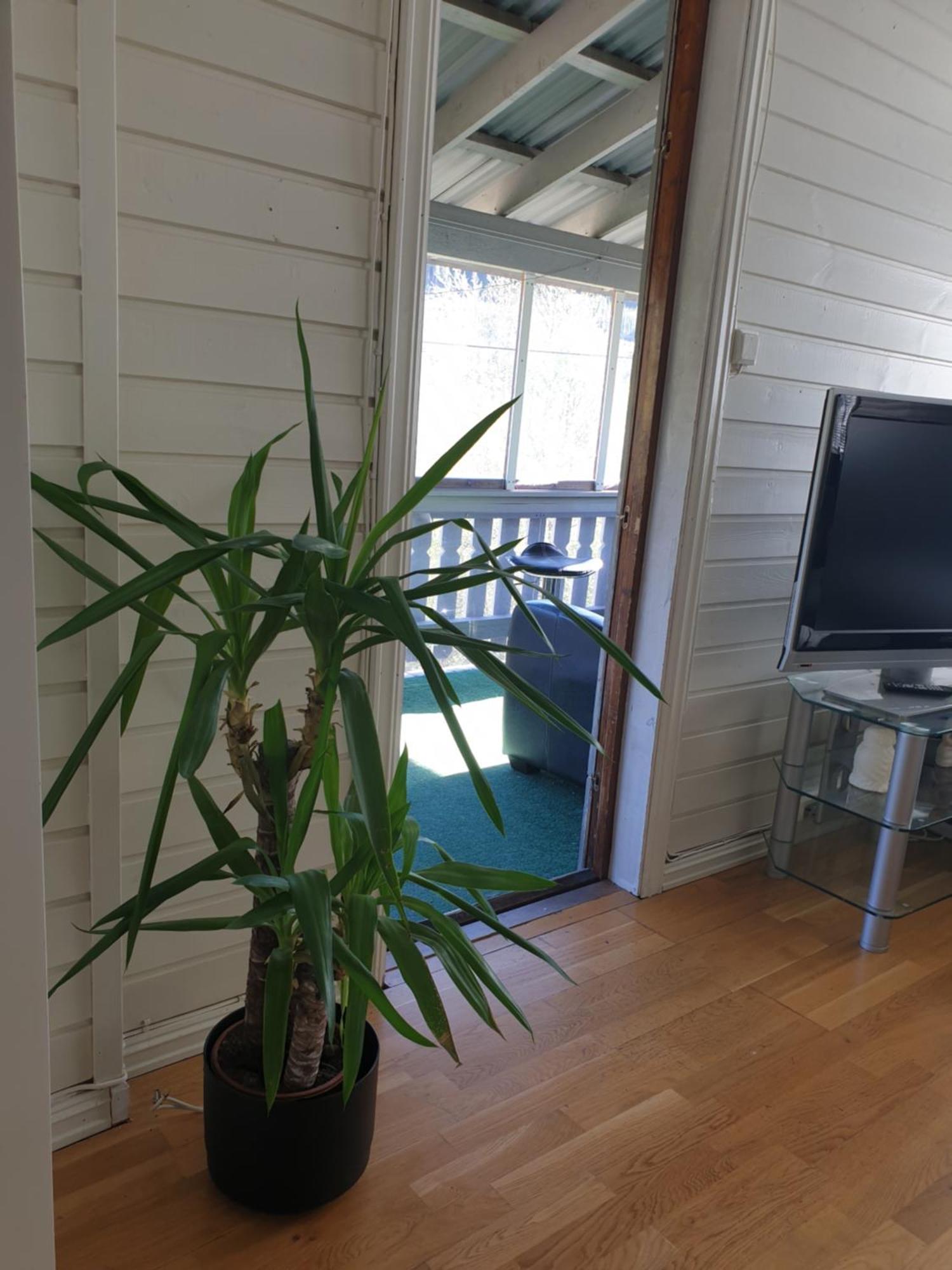 Holiday Home โกล ภายนอก รูปภาพ